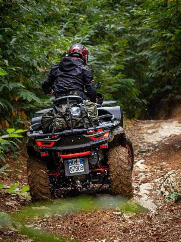 438127944_122137351688204243_3625579339999390760_n