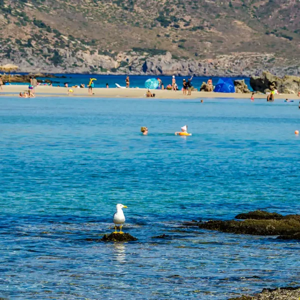 elafonisi-island-10